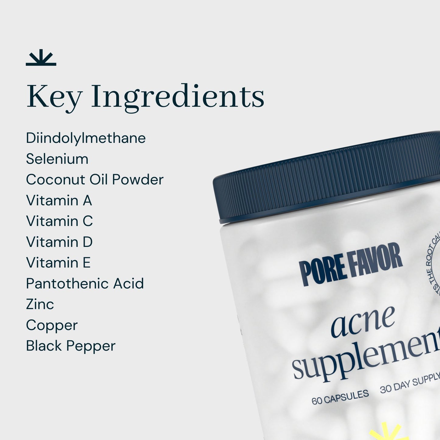 THE ACNE SUPPLEMENT