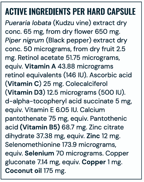 THE ACNE SUPPLEMENT